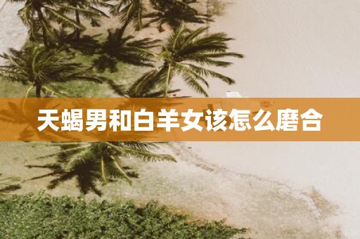 天蝎男和白羊女该怎么磨合