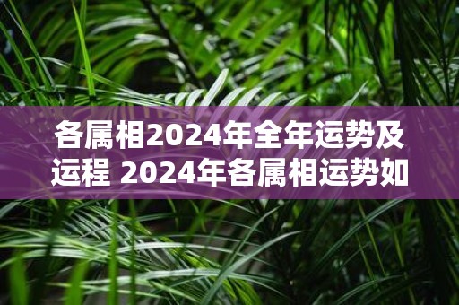 各属相2025年全年运势及运程 2025年各属相运势如何