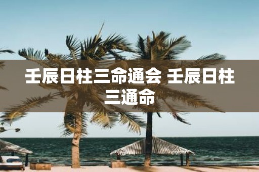 壬辰日柱三命通会 壬辰日柱三通命