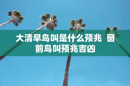 大清早鸟叫是什么预兆 窗前鸟叫预兆吉凶