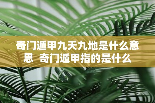 奇门遁甲九天九地是什么意思 奇门遁甲指的是什么