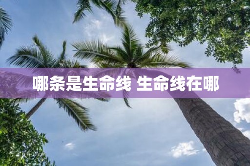 哪条是生命线 生命线在哪