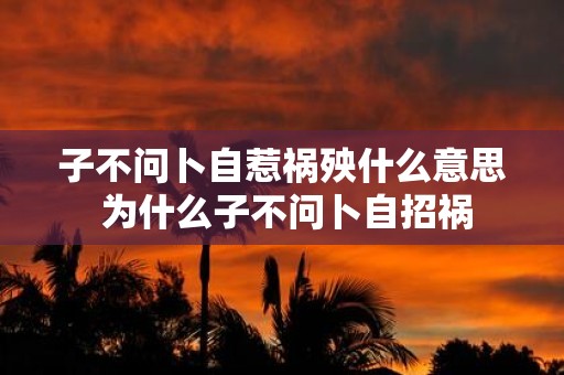 子不问卜自惹祸殃什么意思 为什么子不问卜自招祸