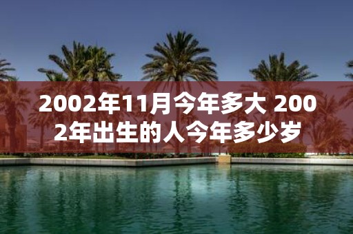 2002年11月今年多大 2002年出生的人今年多少岁