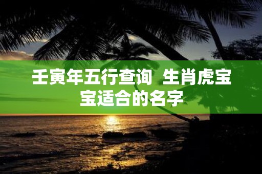 壬寅年五行查询 生肖虎宝宝适合的名字