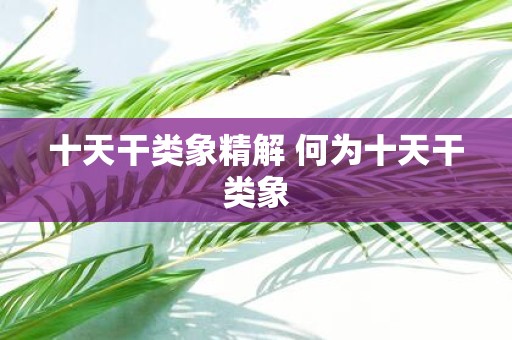十天干类象精解 何为十天干类象