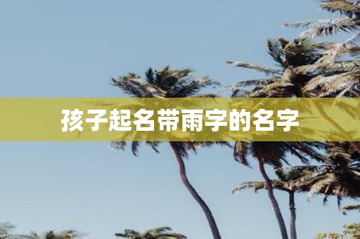 孩子起名带雨字的名字