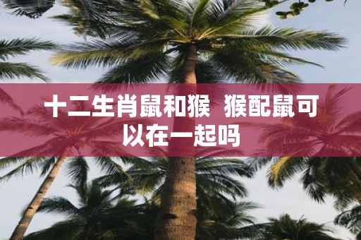 十二生肖鼠和猴 猴配鼠可以在一起吗