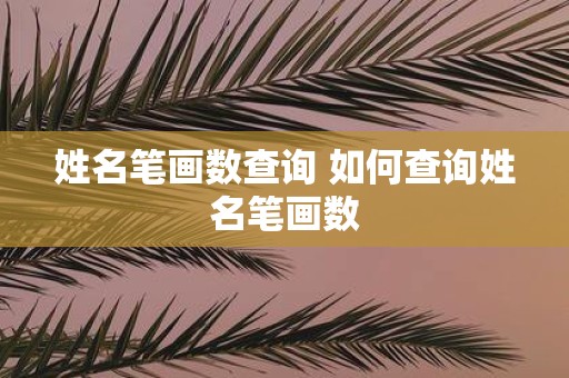 姓名笔画数查询 如何查询姓名笔画数