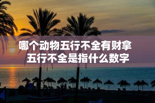 哪个动物五行不全有财拿 五行不全是指什么数字