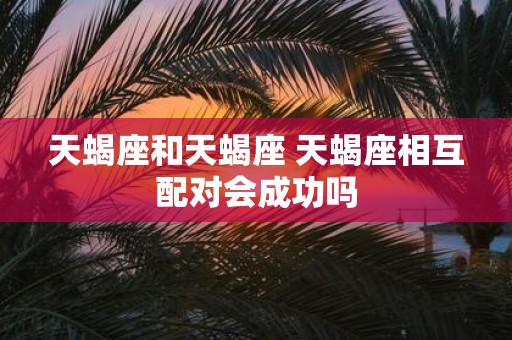 天蝎座和天蝎座 天蝎座相互配对会成功吗