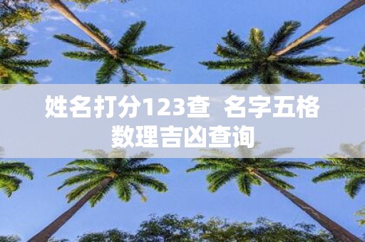 姓名打分123查 名字五格数理吉凶查询