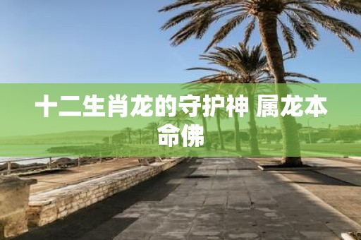 十二生肖龙的守护神 属龙本命佛