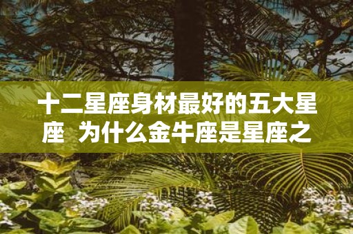 十二星座身材最好的五大星座 为什么金牛座是星座之首