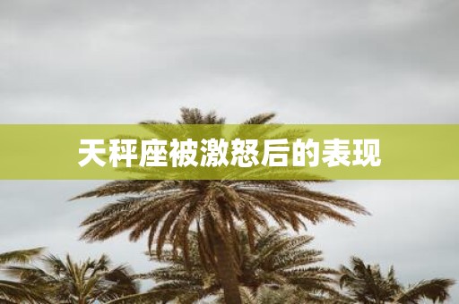天秤座被激怒后的表现
