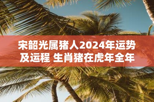 宋韶光属猪人2025年运势及运程 生肖猪在虎年全年每月运势如何