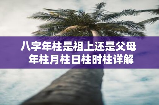 八字年柱是祖上还是父母 年柱月柱日柱时柱详解