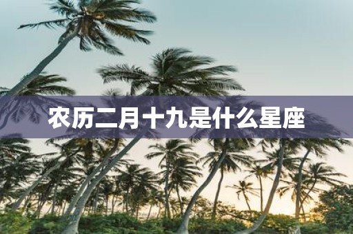 农历二月十九是什么星座