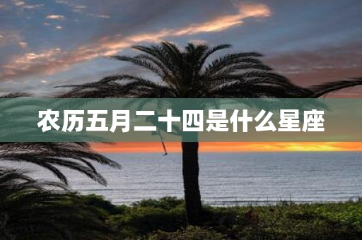 农历五月二十四是什么星座
