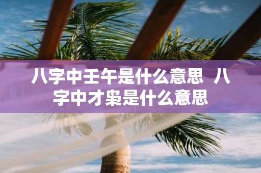 八字中壬午是什么意思 八字中才枭是什么意思