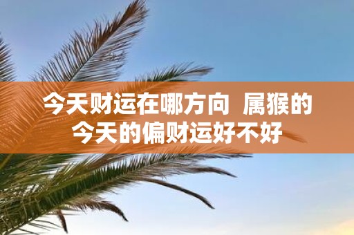 今天财运在哪方向 属猴的今天的偏财运好不好