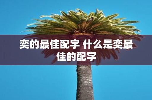 奕的最佳配字 什么是奕最佳的配字