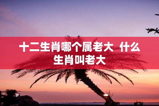 十二生肖哪个属老大 什么生肖叫老大