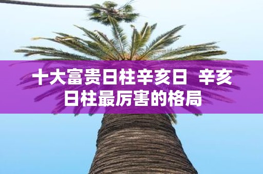十大富贵日柱辛亥日 辛亥日柱最厉害的格局