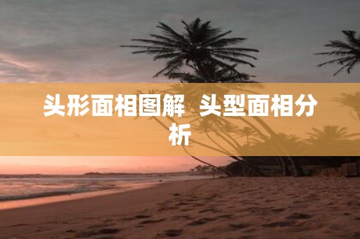 头形面相图解 头型面相分析
