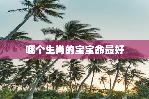 哪个生肖的宝宝命最好