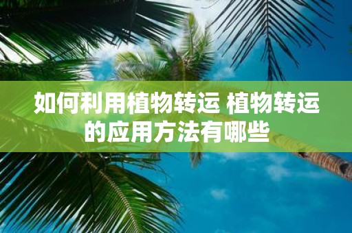 如何利用植物转运 植物转运的应用方法有哪些