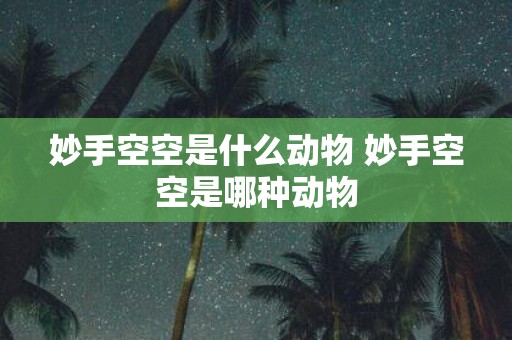 妙手空空是什么动物 妙手空空是哪种动物
