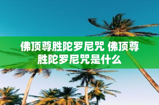 佛顶尊胜陀罗尼咒 佛顶尊胜陀罗尼咒是什么