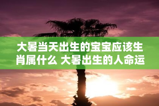 大暑当天出生的宝宝应该生肖属什么 大暑出生的人命运