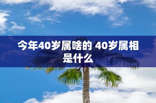 今年40岁属啥的 40岁属相是什么