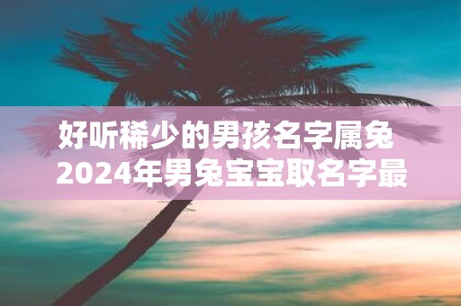 好听稀少的男孩名字属兔 2025年男兔宝宝取名字最佳字