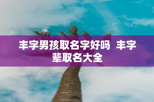 丰字男孩取名字好吗 丰字辈取名大全
