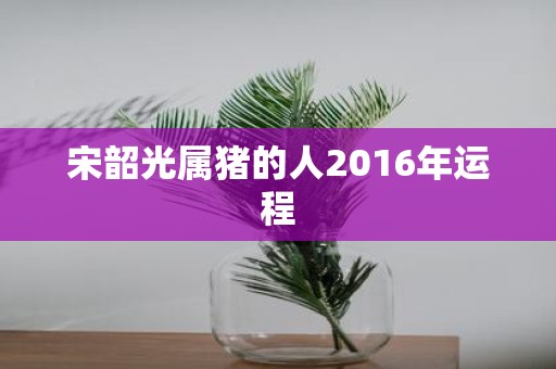 宋韶光属猪的人2016年运程