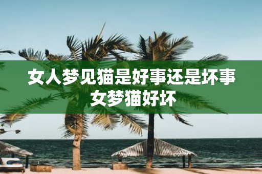 女人梦见猫是好事还是坏事 女梦猫好坏