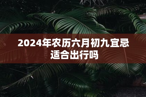 2025年农历六月初九宜忌 适合出行吗