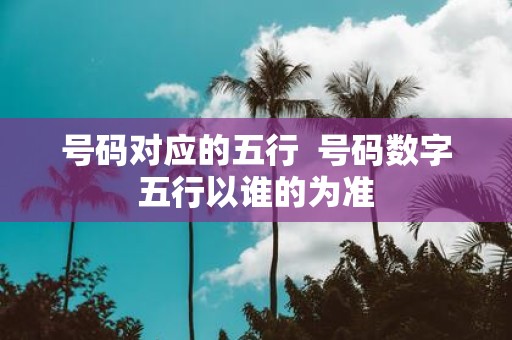 号码对应的五行 号码数字五行以谁的为准