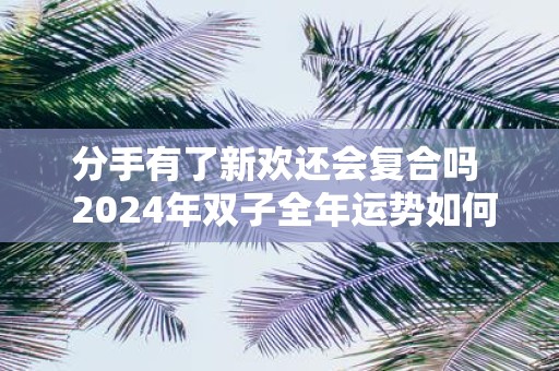 分手有了新欢还会复合吗 2025年双子全年运势如何呢