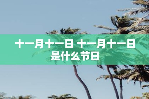 十一月十一日 十一月十一日是什么节日