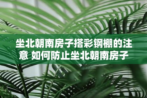 坐北朝南房子搭彩钢棚的注意 如何防止坐北朝南房子搭彩钢棚的注意