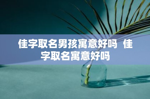 佳字取名男孩寓意好吗 佳字取名寓意好吗