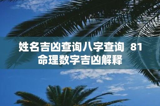 姓名吉凶查询八字查询 81命理数字吉凶解释