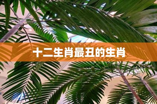 十二生肖最丑的生肖