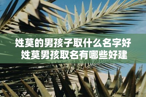 姓莫的男孩子取什么名字好 姓莫男孩取名有哪些好建议
