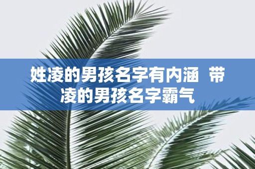 姓凌的男孩名字有内涵 带凌的男孩名字霸气
