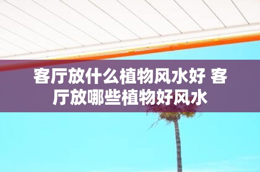 客厅放什么植物风水好 客厅放哪些植物好风水